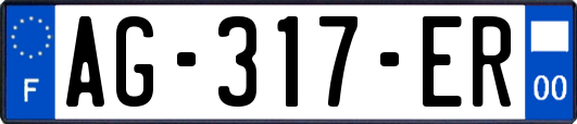 AG-317-ER