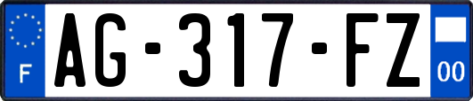 AG-317-FZ