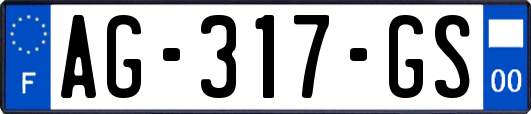 AG-317-GS