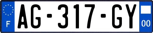AG-317-GY