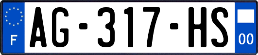 AG-317-HS