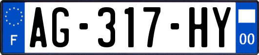AG-317-HY
