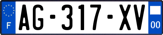 AG-317-XV