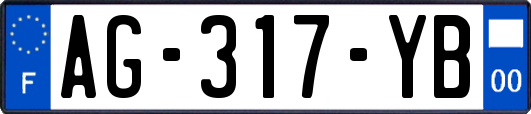 AG-317-YB