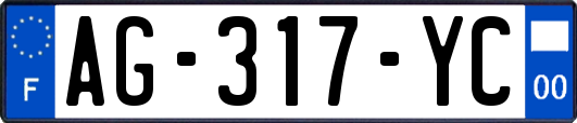 AG-317-YC