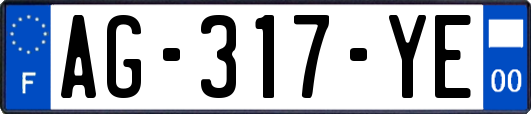 AG-317-YE