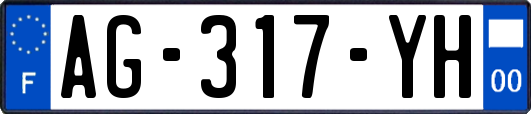 AG-317-YH