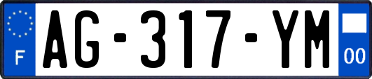 AG-317-YM