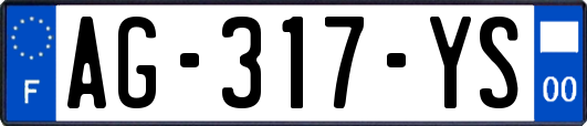 AG-317-YS