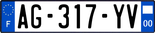 AG-317-YV