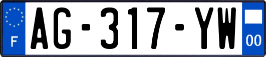 AG-317-YW