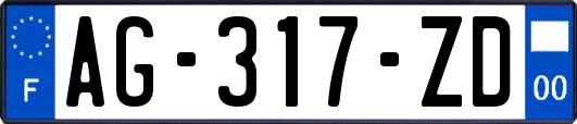 AG-317-ZD