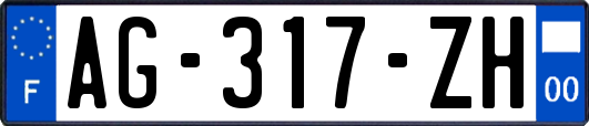 AG-317-ZH