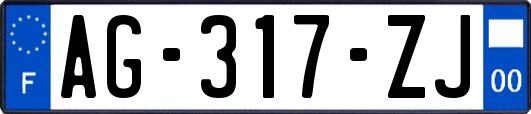 AG-317-ZJ