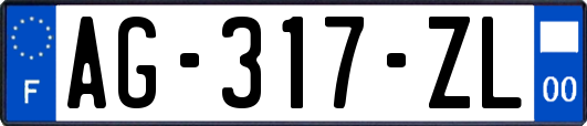 AG-317-ZL