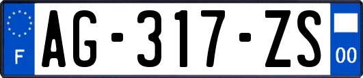 AG-317-ZS