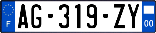 AG-319-ZY