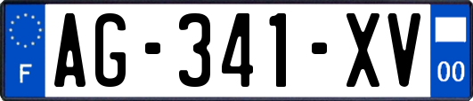 AG-341-XV