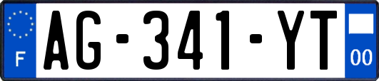 AG-341-YT