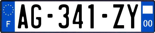 AG-341-ZY