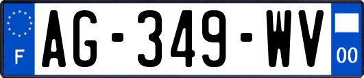 AG-349-WV