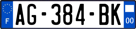 AG-384-BK