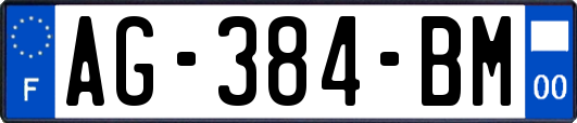 AG-384-BM