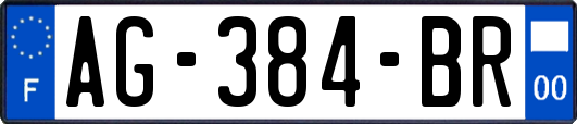AG-384-BR