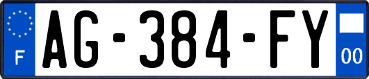AG-384-FY