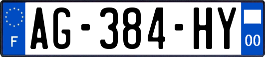 AG-384-HY