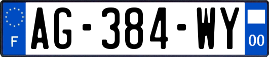 AG-384-WY