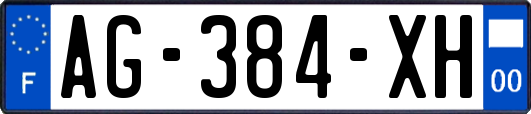 AG-384-XH