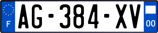 AG-384-XV