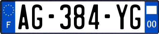 AG-384-YG