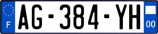 AG-384-YH