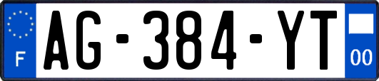 AG-384-YT