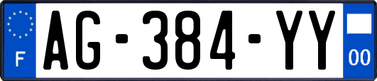 AG-384-YY