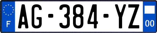 AG-384-YZ