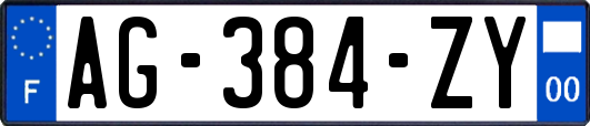 AG-384-ZY