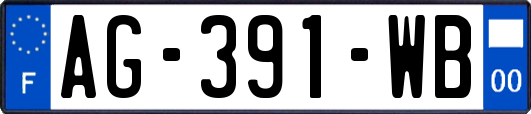 AG-391-WB