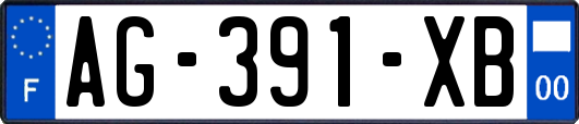 AG-391-XB