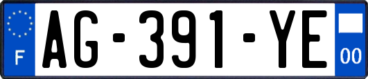 AG-391-YE