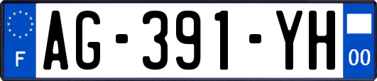 AG-391-YH