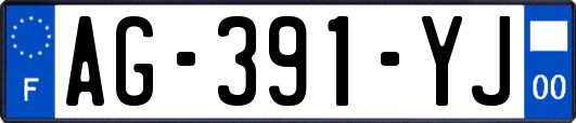 AG-391-YJ