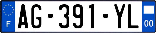 AG-391-YL
