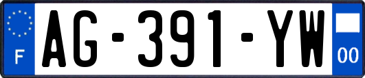 AG-391-YW