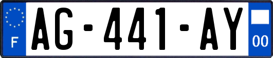 AG-441-AY