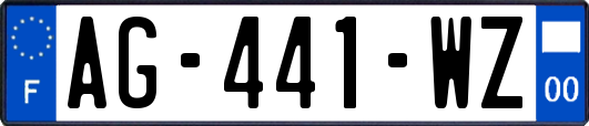 AG-441-WZ