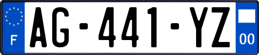 AG-441-YZ