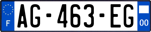 AG-463-EG